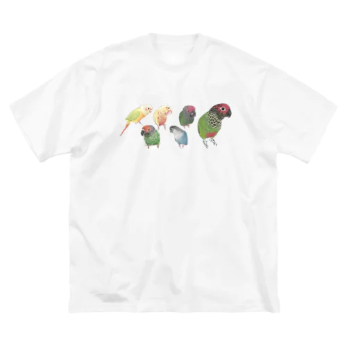 あつまれウロコインコちゃん【まめるりはことり】 ビッグシルエットTシャツ