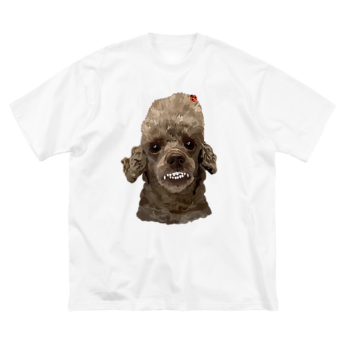 ５０．ハッピーチャーム Big T-Shirt