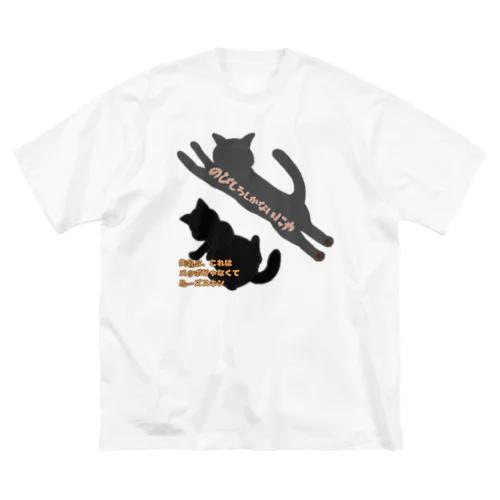 猫のお腹はルーズスキン　片面バージョン Big T-Shirt