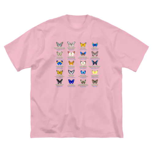 日本の蝶 Butterflies of Japan 2（南西諸島 Nansei Islands）★英名、和名、学名 [ライトカラー] Big T-Shirt