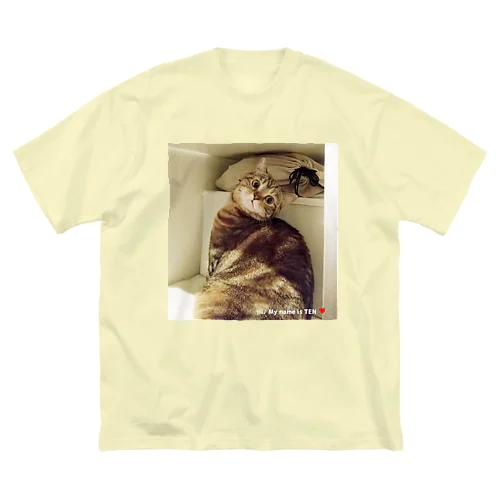 ぶんてんにゃんず Big T-Shirt