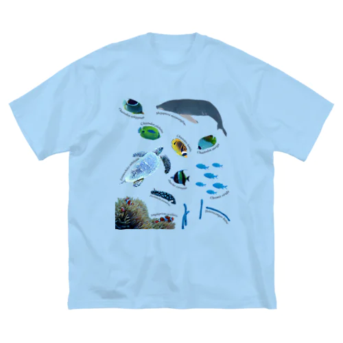 沖縄の海の生き物 ビッグシルエットTシャツ