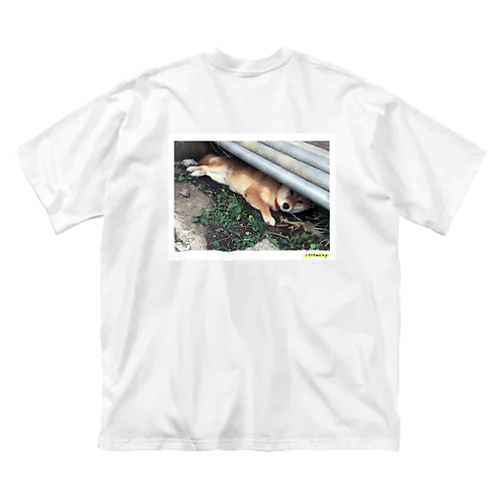 熱中症対策犬 Big T-Shirt