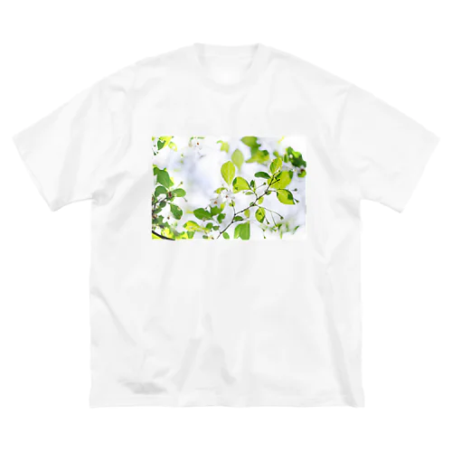 癒しの風景（エゴノキ） ビッグシルエットTシャツ