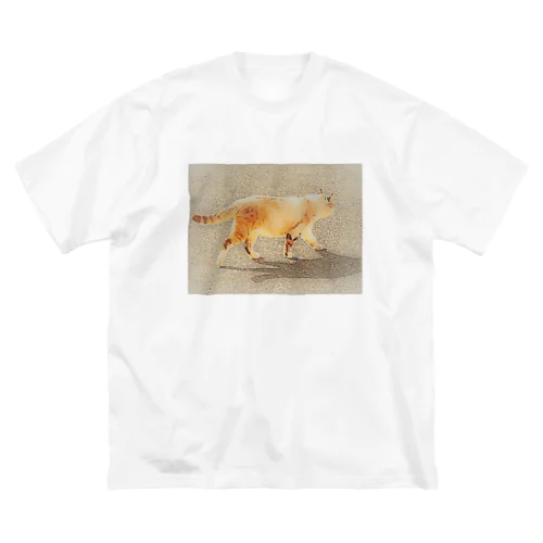 旅シリーズ　散歩 ビッグシルエットTシャツ