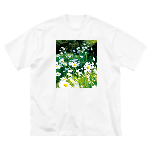 癒しの風景（シャスタデイジー） ビッグシルエットTシャツ