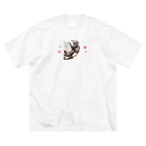 絶対安静にこ Big T-Shirt