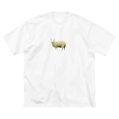 こっち見てるヒツジ Big T-Shirt