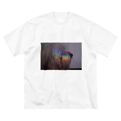 rainbow dopey ビッグシルエットTシャツ