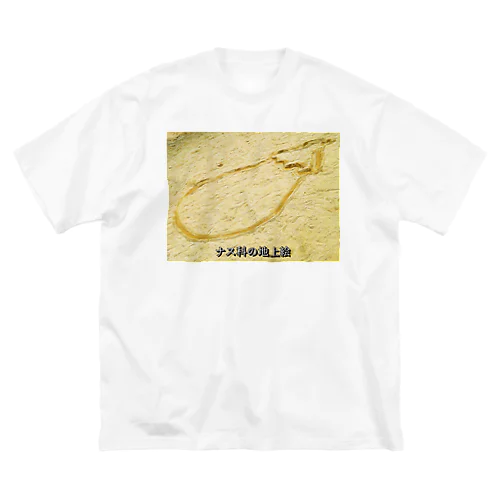 ナス科の地上絵 Big T-Shirt