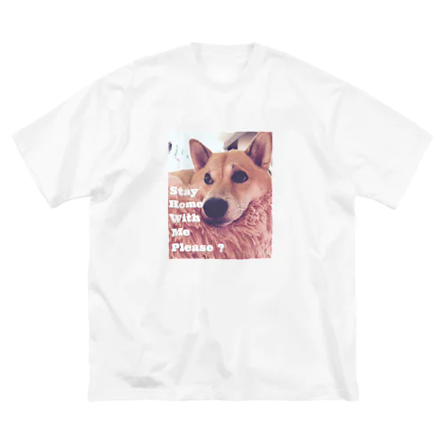 柴犬Sola-Stay home with me please? ビッグシルエットTシャツ