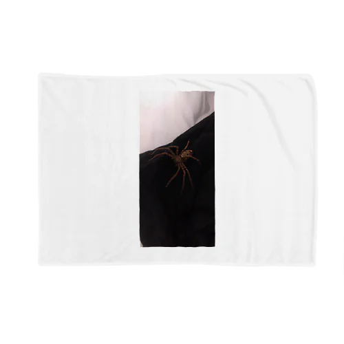 spider Blanket