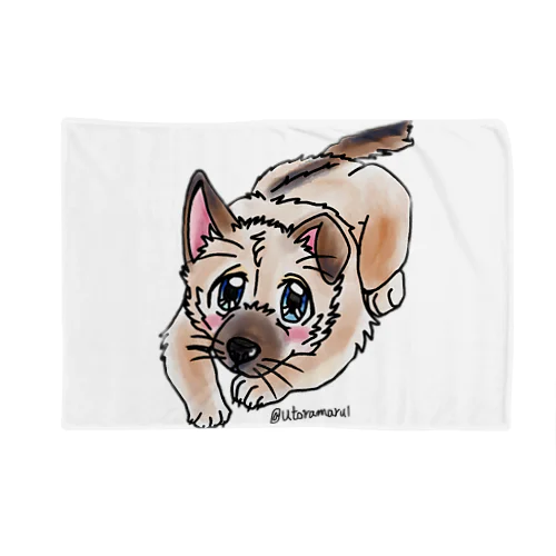 泥棒フェイスの子犬 Blanket