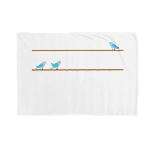 BIRDS Blanket