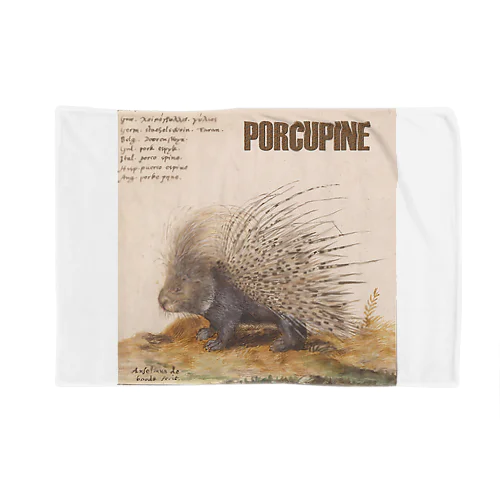 PORCUPINE　ヤマアラシ ブランケット