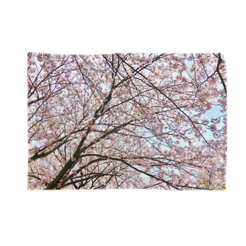 Sakura_saku ブランケット