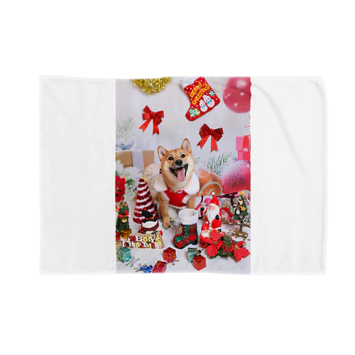 柴犬 MARRY CHRISTMAS ! 赤いリボン Blanket