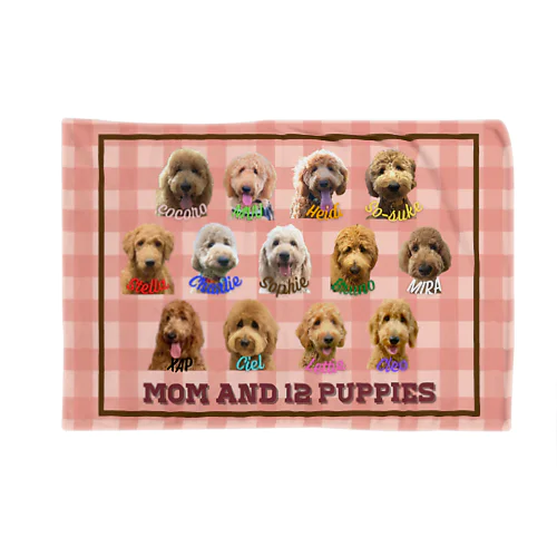 Sophie's 12 Puppies Blanket