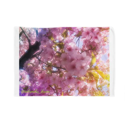 桜庭コレクション Blanket