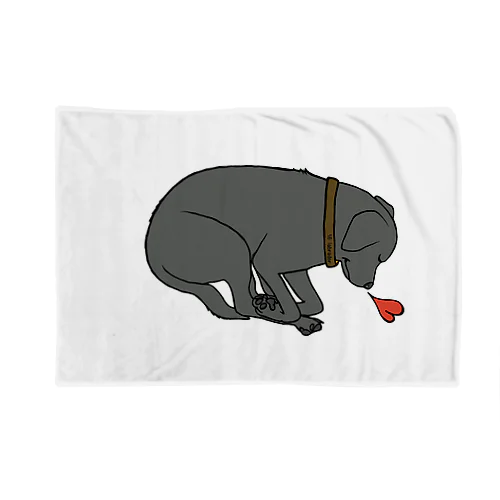 Labrador ろく Blanket