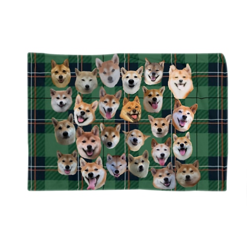 愛犬を探せ！(赤柴＆胡麻ver①) Blanket