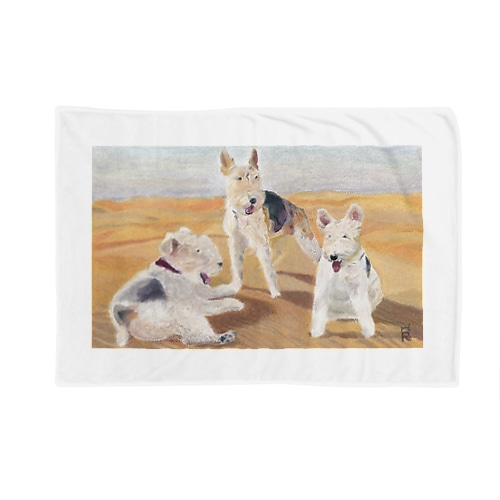 砂漠の番犬③ Blanket