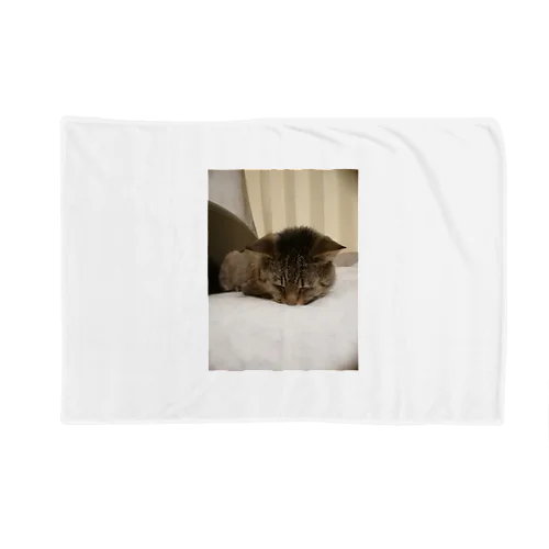家の猫　茶虎 Blanket
