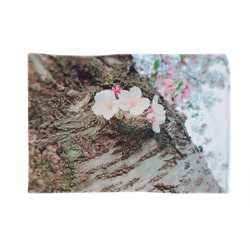 小さな桃色の花びら Blanket