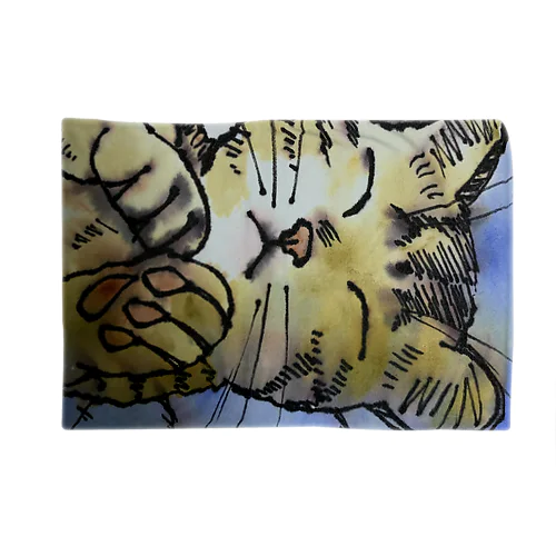 眠い猫 Blanket