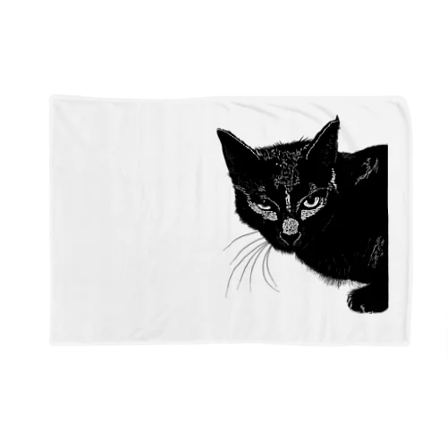 カッコよく覗きに来た黒猫 Blanket