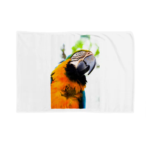 Parrot Blanket