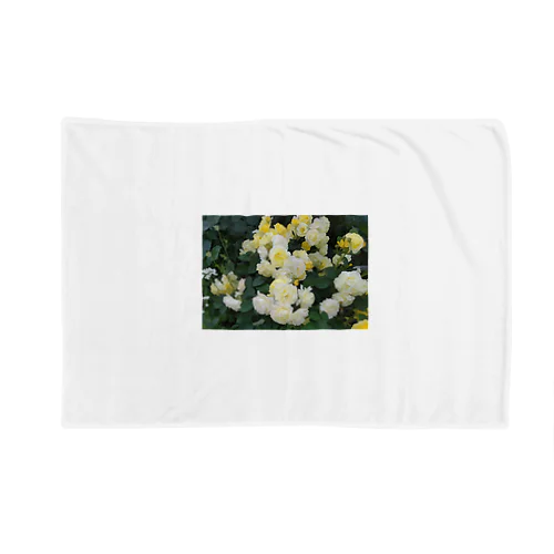 黄色い薔薇の花 Blanket