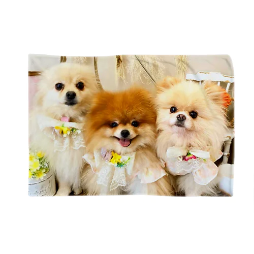 Pomeranianlovers　ポメラニアン ブランケット