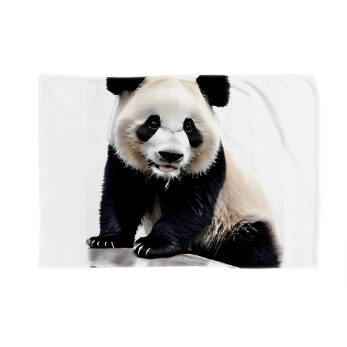 パンダグッズ🐼 Blanket