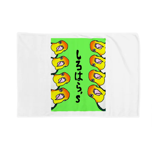 ひょっこり　シロハラシリーズ Blanket