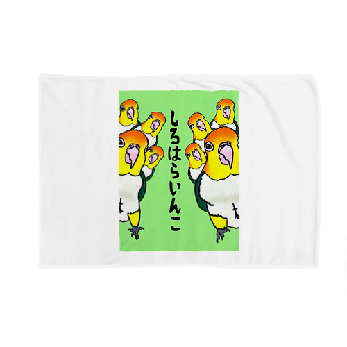 まるで花鳥園？！シロハラシリーズ Blanket