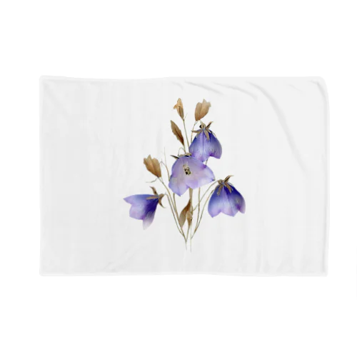 キキョウ Chinese bellflower Blanket