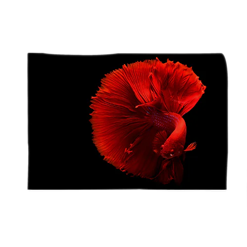 金魚 Blanket