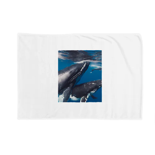シロナガスクジラ　親子 Blanket