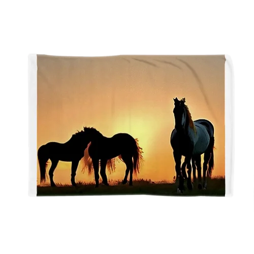 夕陽の中の馬 담요