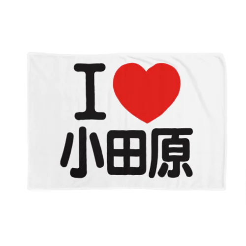 I LOVE 小田原 ブランケット