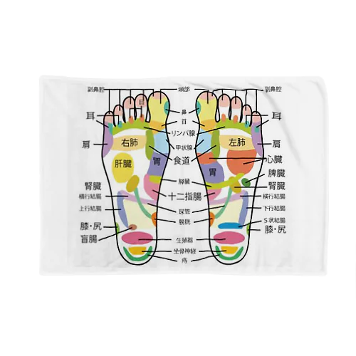 足つぼマッサージ 施術者着用 How to Foot Reflexology Chart Blanket