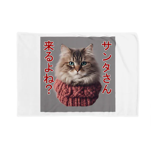 サンタを信じてる猫 Blanket