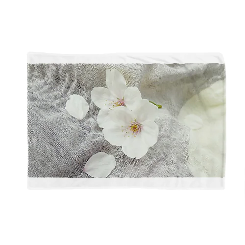 桜 Blanket