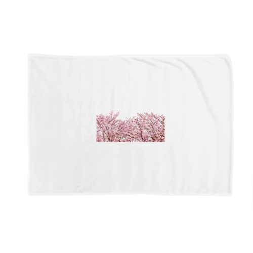 春と桜 Blanket