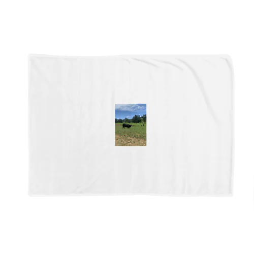 Farm Blanket