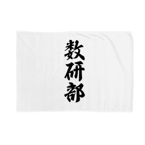 数研部 Blanket