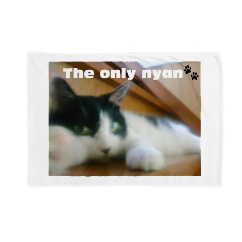  『The only nyan🐾』 ブランケット