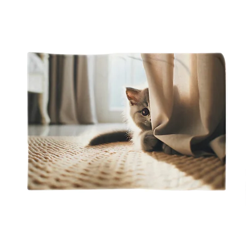 こっそりと覗き込む猫 Blanket