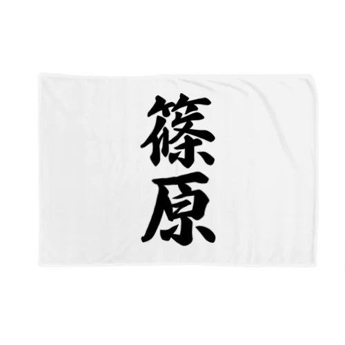 篠原 Blanket